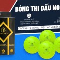 BÓNG THI ĐẤU PICKLEBALL TD MATTER