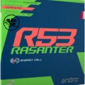 Andro Rasanter R53