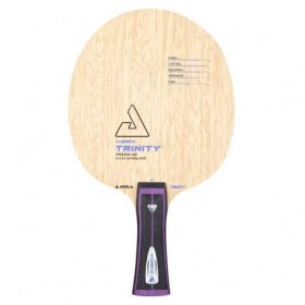 JOOLA VYZARYZ TRINITY