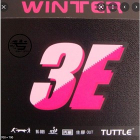 Tutle Winter 3E - Gai trung