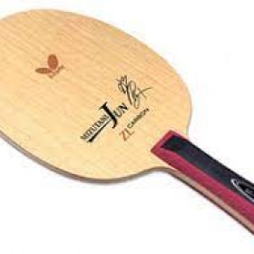 Mizutani Jun ZLC
