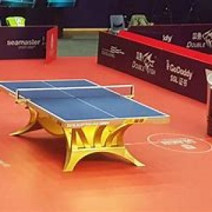 Bàn Double Fish Volant King