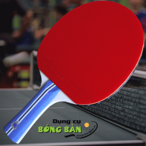 GAMBLER SPIN ZONE X TACKY